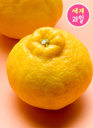 À̹ÌÁö