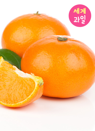 À̹ÌÁö