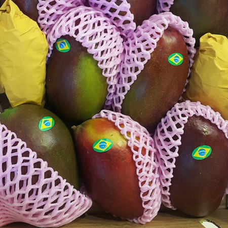 À̹ÌÁö