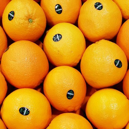 À̹ÌÁö